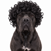 Afro Jackson