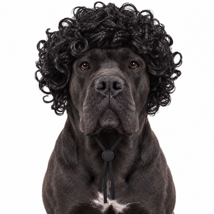 Barks & Bangs Wig