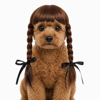 Brunette Pigtail